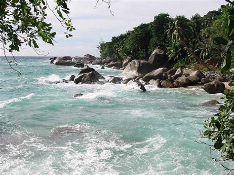 Vallee de Mai Natural Reserve, Seychelles (2020) - Images, Timings | Holidify