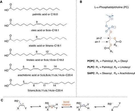 Arachidonic Acid Chemical Structure