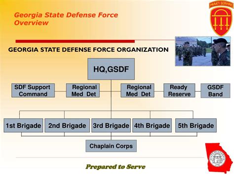 PPT - THE GEORGIA STATE DEFENSE FORCE PowerPoint Presentation, free download - ID:4975833