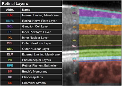 Know your retinal layers | Heidelberg Engineering