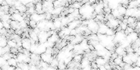 White Marble Floor Tiles Texture Background | Viewfloor.co