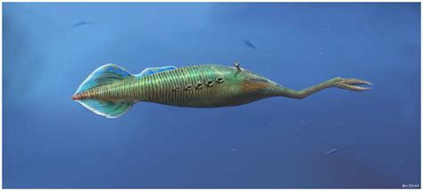 The Tully Monster – Tullimonstrum | The Natural Canvas