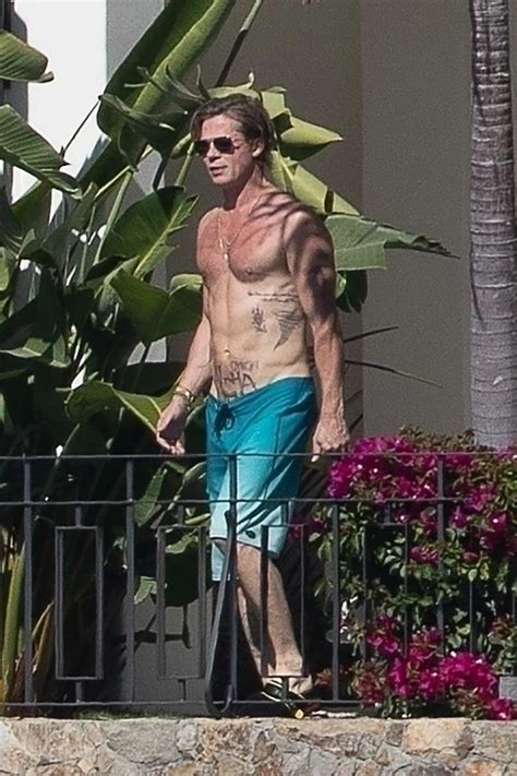 Shirtless Brad Pitt Sunbathes With Topless Girlfriend Ines De Ramon ...