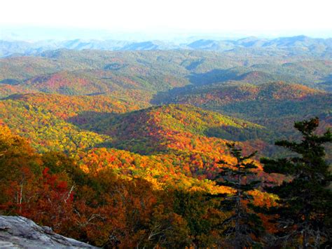 The 15 Best Boone NC Hiking Trails to Explore