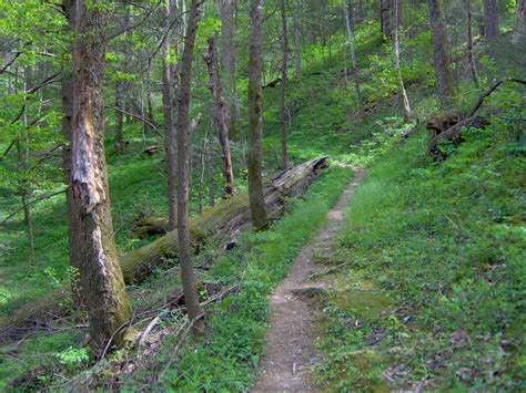 Gabes Mountain Trail – Smokies Guide