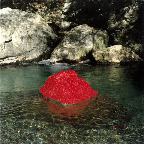 Andy Goldsworthy, Red Maple Leaves / Held with Water / Sunny, 1991 ...