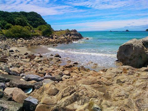 Tauranga beach, New Zealand | New zealand, Trip, The beautiful country