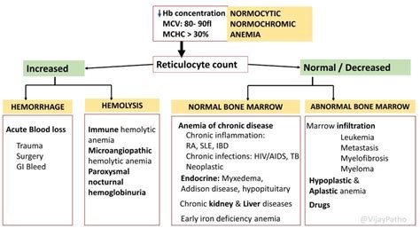 Normocytic Normochromic Anemias Causes, Symptoms And, 42% OFF