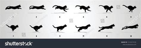 Cat Run Cycle Animation Sequence Animation Stock Vector (Royalty Free) 1515213155 Jump Animation ...