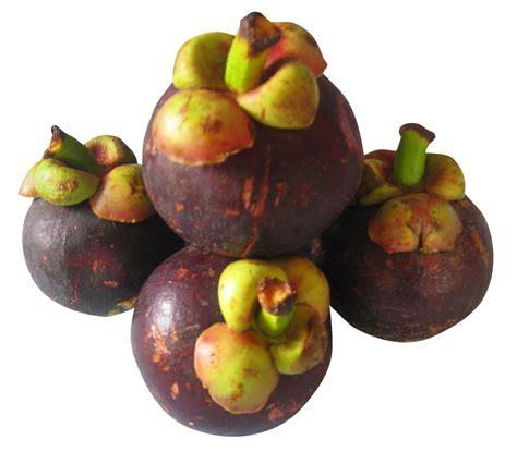 Purple Mangosteen PNG Image for Free Download