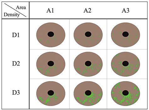 Superficial punctate keratopathy and density scale classification. Area... | Download Scientific ...