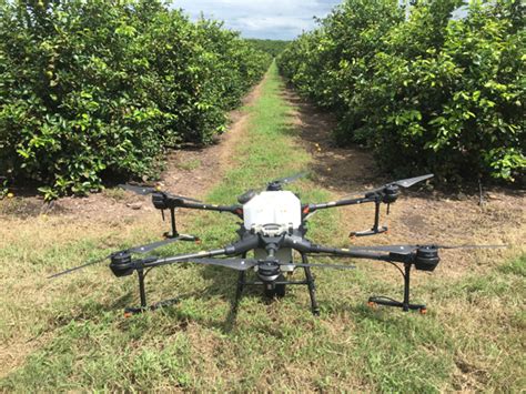 Drones for Pest Control Effective in Some Situations - Citrus Industry Magazine