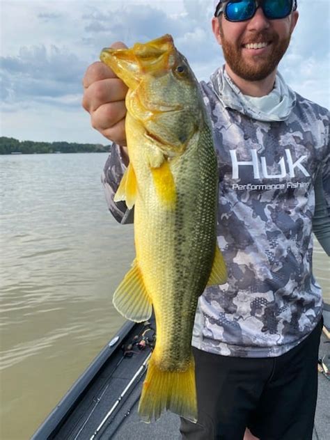 Arkansas man catches rare, ‘golden’ largemouth bass | KFOR.com Oklahoma ...