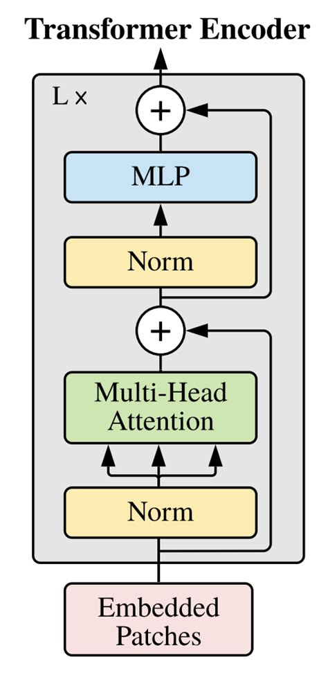 Vision Transformer (ViT) 代码实现PyTorch版本 - 知乎