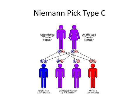 PPT - Diagnosing Niemann Pick disease, Type C PowerPoint Presentation, free download - ID:4595778