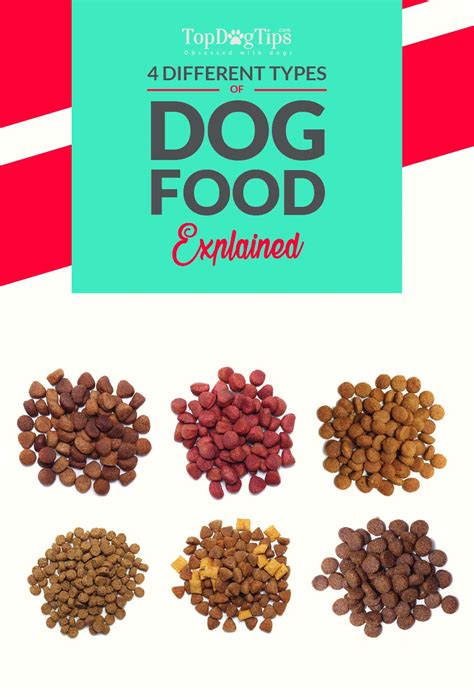 4 Different Types of Dog Food & How to Pick the Best One?