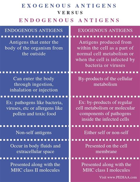 What is the Difference Between Exogenous and Endogenous Antigens - Pediaa.Com