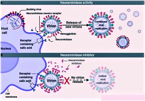 Is atc4 a virus - lenatogether