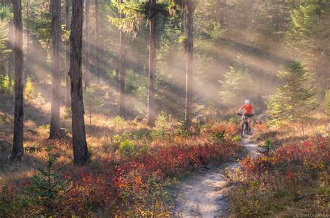 Whitefish Mountain Biking | Whitefish, Montana | Grant Ordelheide Photography