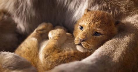 Meet The Adorable Model Behind Baby Simba From The New “Lion King” (21 pics) - Izismile.com