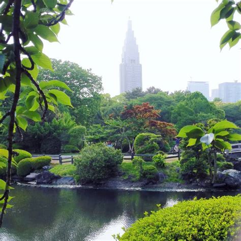 Shinjuku Gyoen: The Garden Lover’s Mega Guide | Tokyo Cheapo