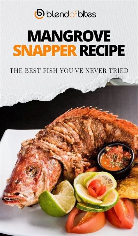 Mangrove Snapper Recipe: The Best Fish You've Never Tried - Blend of Bites | Recipe in 2024 ...