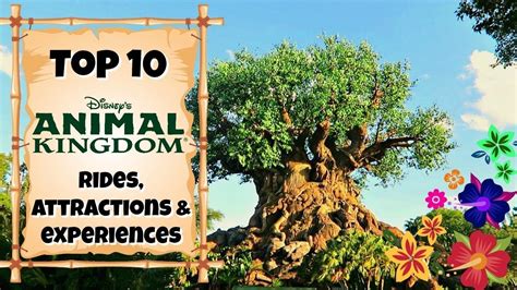 TOP 10 Animal Kingdom rides & experiences | Walt Disney World 2017 | Animal kingdom rides ...