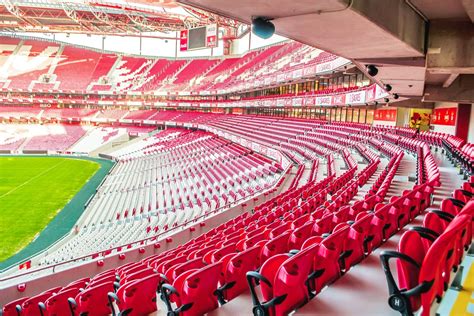 Private Benfica Stadium tour by Portugal Premium Tours