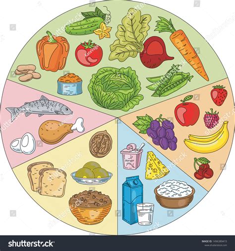 Healthy Food Plate Set Healthy Food: vector de stock (libre de regalías) 1496389415 | Shutterstock