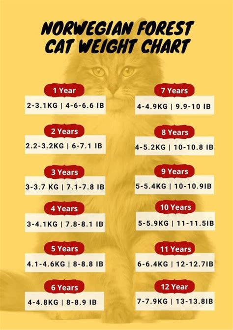 Cat Weight Chart By Age & Height In Kg, Ibs ⚖