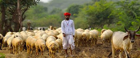 Bishnoi Village Safari - The Haveli Leopard Camp