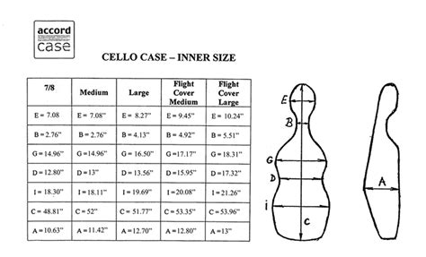 Accord Cello Case