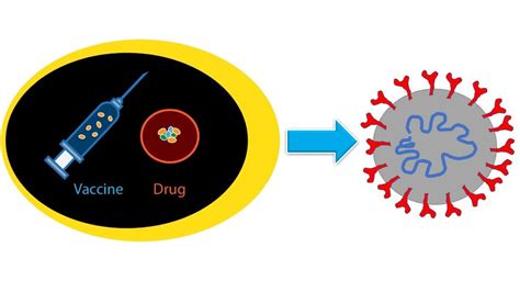 Chitosan Nanoparticles for Antiviral Drug Delivery | IJN