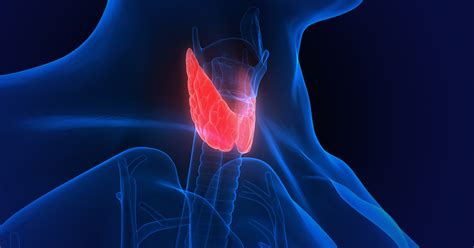 Endocrinology Conditions & Disorders | MedStar Health