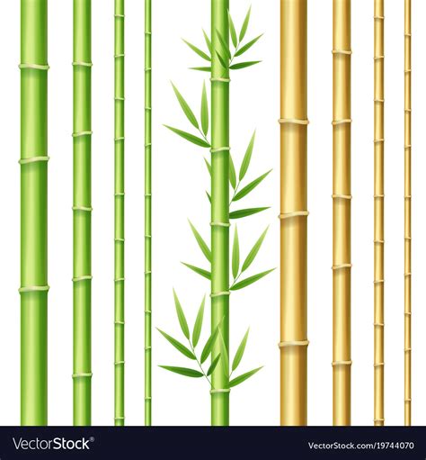 Realistic 3d detailed bamboo shoots set Royalty Free Vector