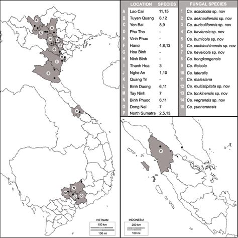 Map of Vietnam and Indonesia representing provinces (indicated as ...