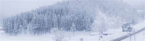 Yuzawa Snow • Images • WallpaperFusion by Binary Fortress Software