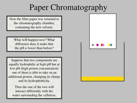 PPT - Paper Chromatography PowerPoint Presentation, free download - ID:4831289