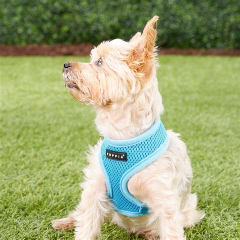 Puppia Soft Dog Harness, Sky Blue, X-Small - Chewy.com