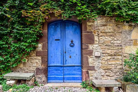 A blue and worn door with green ivy - puzzle online