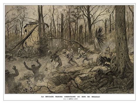 Battle of Belleau Wood - Wikipedia | RallyPoint