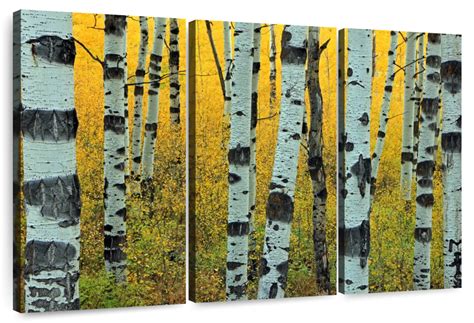 Abstract Aspen Tree Wall Art | Photography