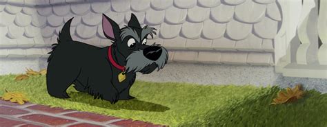 Jock - Disney Wiki - Wikia