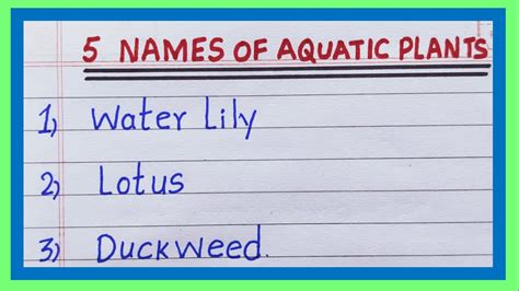 Aquatic Plants Names in English | 5 Names of Aquatic Plants | List of ...