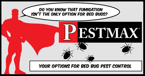 Fumigation for Bed Bugs, is this My Best Option? | Pest Control Blog