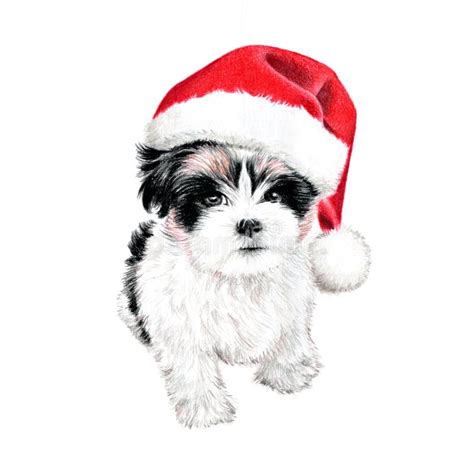 Cute Christmas Puppy Dog with Santa Hat Illustration. Hand Drawn Colored Pencil Art Stock Image ...