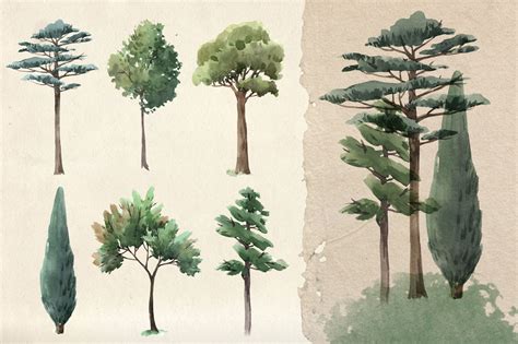 Watercolor Trees Illustrations (PNG+PSD) By Lembrik's Artworks | TheHungryJPEG