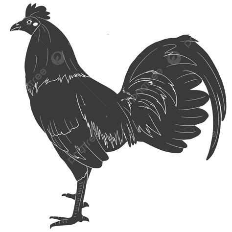 Rooster Chicken Rooster, Rooster, Rooster Vector, Chicken PNG and Vector with Transparent ...