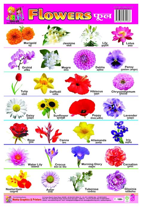 flowers name pdf download