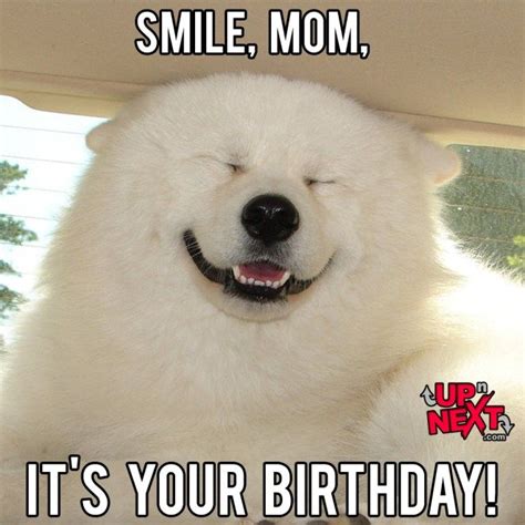 61+Funniest Happy Birthday Mom Meme in 2023 | Happy birthday mom funny ...